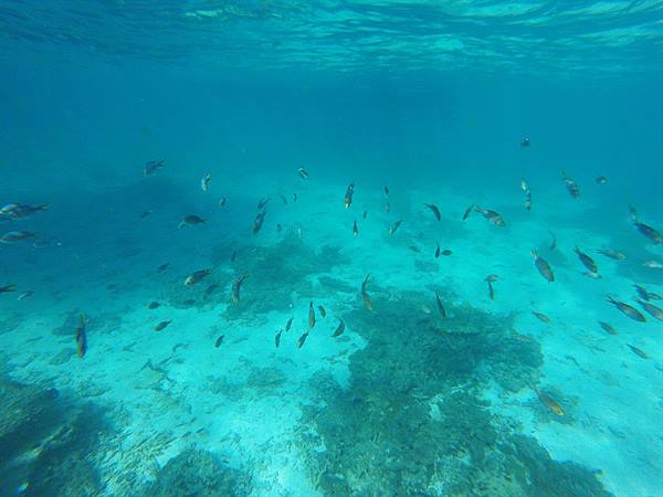 Immersi in un mondo silenzioso, tra pesci e luce turchese.