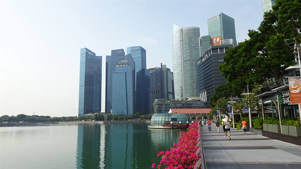 Passeggiata lungo la baia, grattacieli e fiori: Singapore nel cuore.