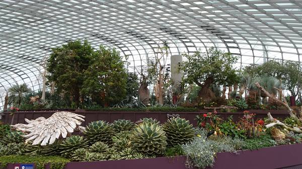 Un giardino sotto vetro, dove il mondo intero fiorisce piano.
