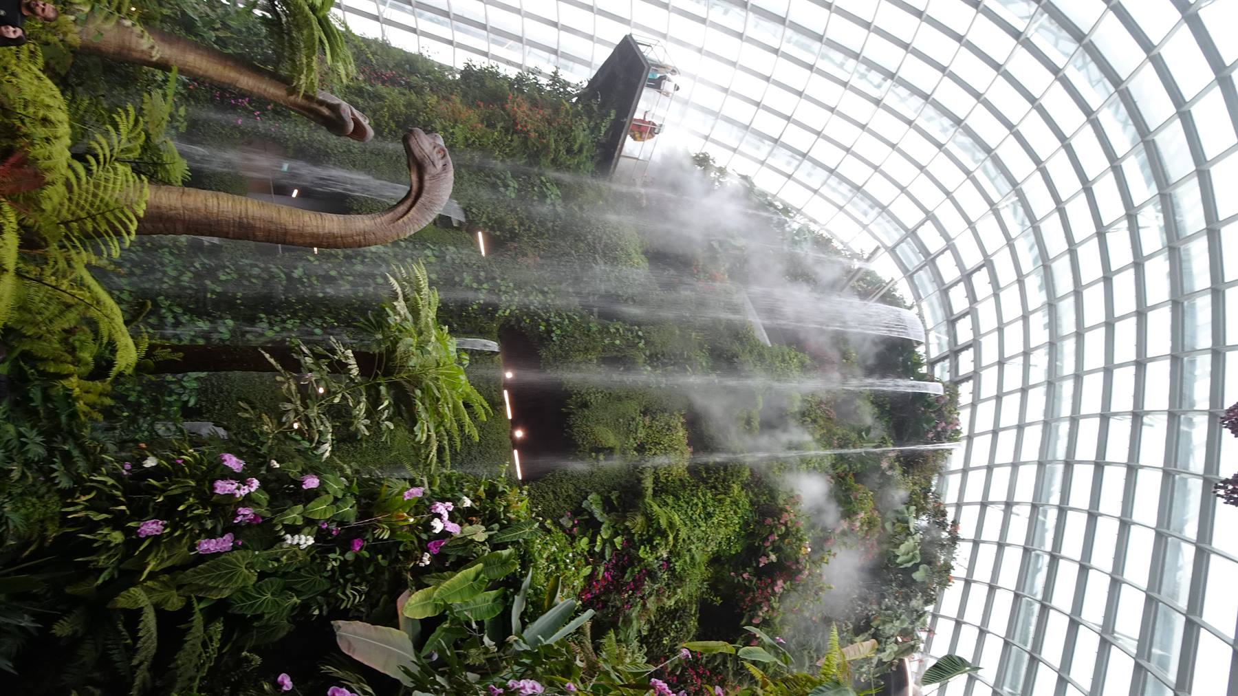 Foto di viaggio in SINGAPORE