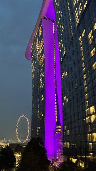 Singapore al tramonto: luci viola e la ruota che illumina la sera.