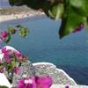 Mykonos - Kalafati GRECIA 