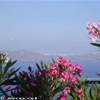 Santorini - Vista sulla caldera GRECIA 