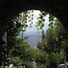 Creta - Isola Verde GRECIA 