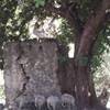 Creta - Gole di Samaria GRECIA 