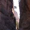 Creta-Gole di Samaria GRECIA 