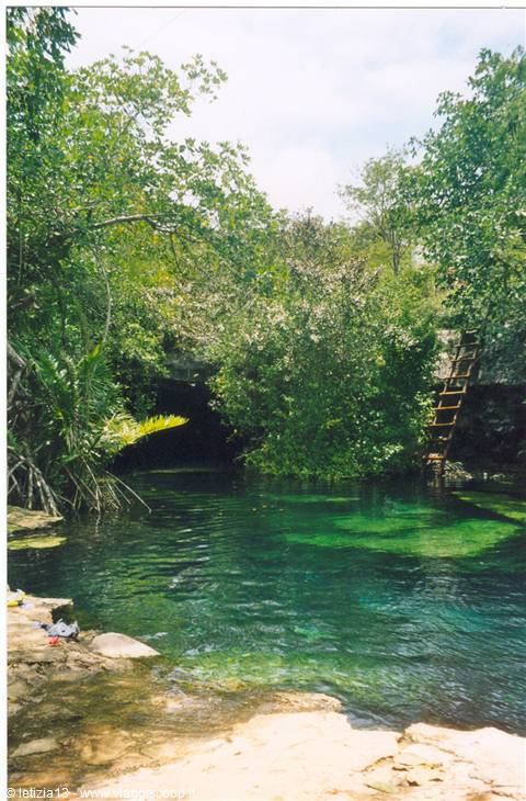 Cenotes nella foresta