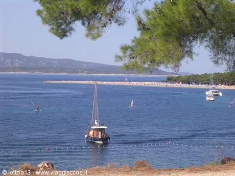 Brac-BOL