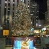 Rockfeller Center STATI UNITI D'AMERICA 
