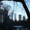 Central Park STATI UNITI D'AMERICA 