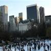 Central Park STATI UNITI D'AMERICA 