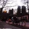 Central Park STATI UNITI D'AMERICA 