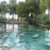 Hierapolis-Pamukkale  TURCHIA 