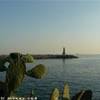 Marbella - Puerto Banus SPAGNA 