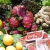 Barcellona - Mercato della Bouqueria SPAGNA 