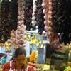 Barcellona - Mercato della Bouqueria SPAGNA 