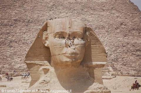 SHARM