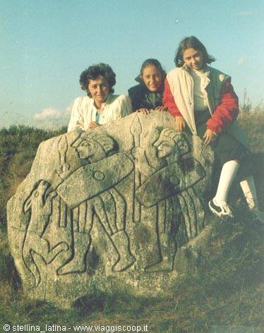 cimbri: stele di borremose