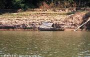 il delta del Mekong