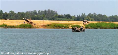 il delta del Mekong