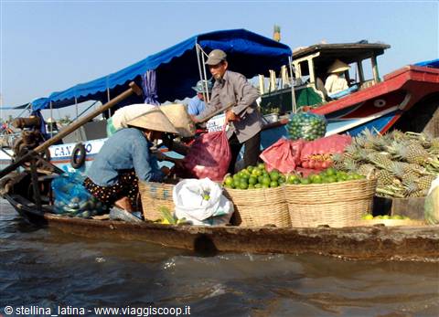 il delta del Mekong