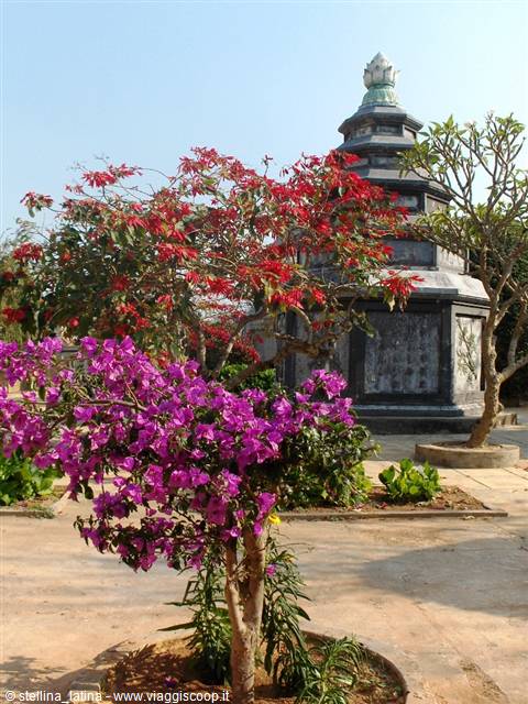 DALAT