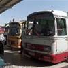 Autobus da Mashha a Yarz IRAN 