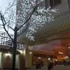 Shiraz - cortile interno dell'hotel IRAN 