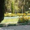 Teheran IRAN 