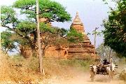 Bagan: contadini tra le antiche Paya