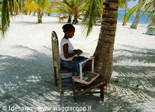 saona: fonti rinnovabile: le braccia femminili