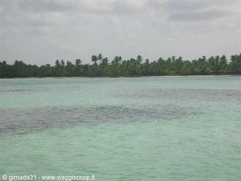 piscine naturali