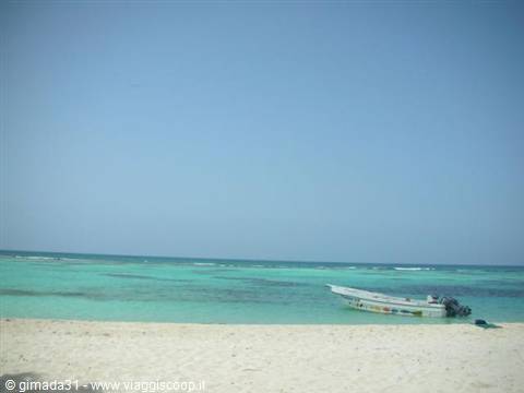 saona