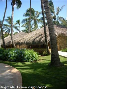 viva dominicus beach