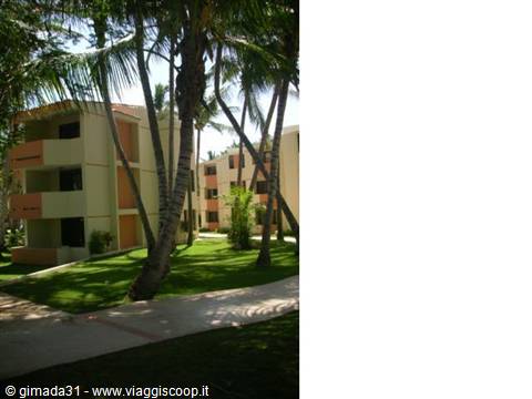 viva dominicus beach