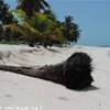 foto viaggio REPUBBLICA DOMINICANA