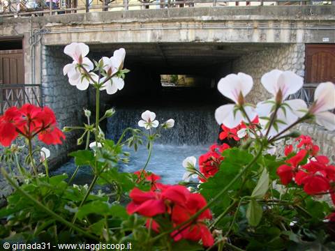 ponte di legno