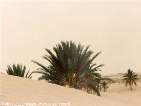 Deserto del Sahara