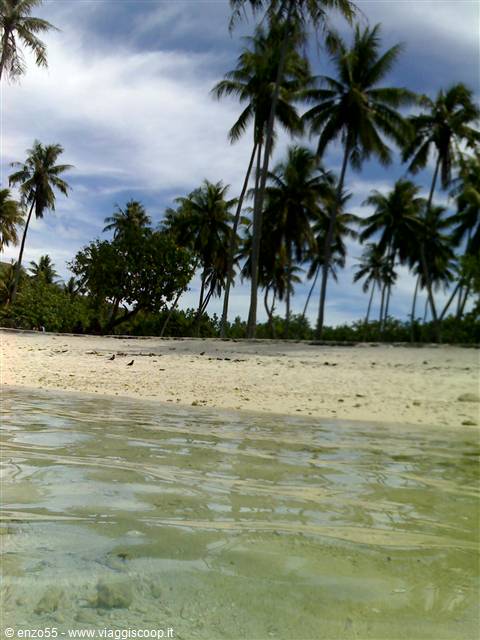 MOOREA