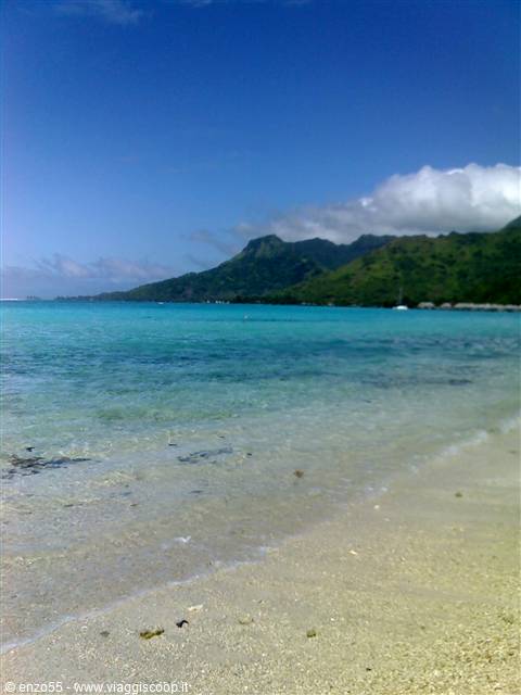 MOOREA