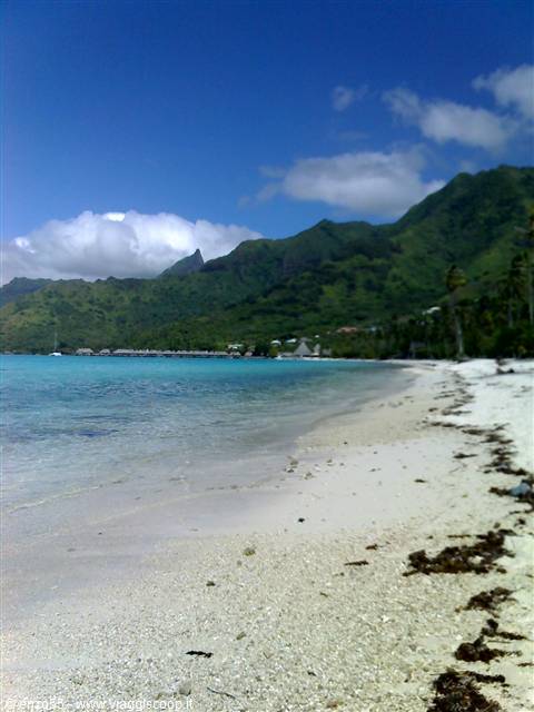 MOOREA