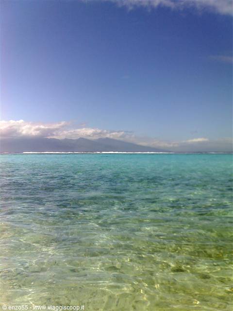 MOOREA