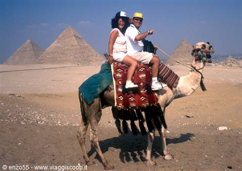 Giza in dromedario