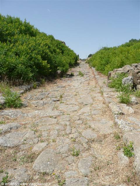 MORGANTINA - la plateia A - verso il quartiere residenziale ovest