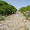 MORGANTINA - la plateia A - verso il quartiere residenziale ovest ITALIA 