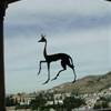 Alhambra cerbiatto sul vetro SPAGNA 
