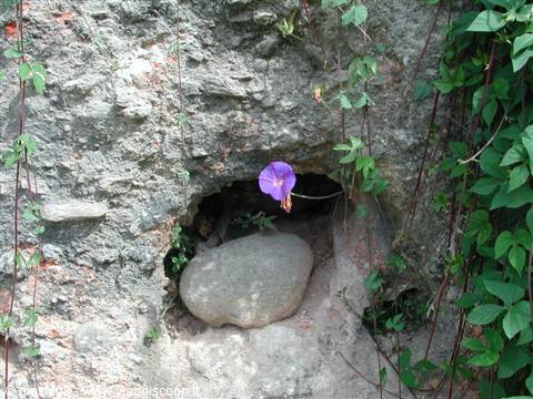 campanella giardini di Alhambra
