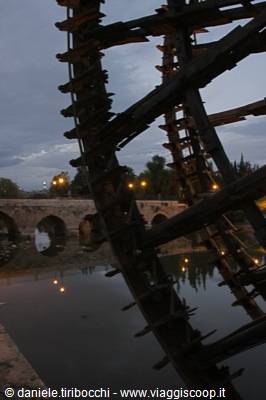 HAMA LE NORIE BY NIGHT