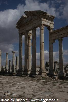 APAMEA