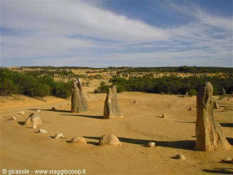 Deserto dei Pinnacoli